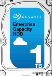 Enterprise Capacity 3.5 v5.1 1TB [ST1000NM0008]